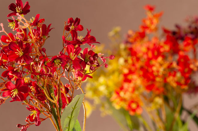 F408- Daphne Spray 72 cm různé barvy